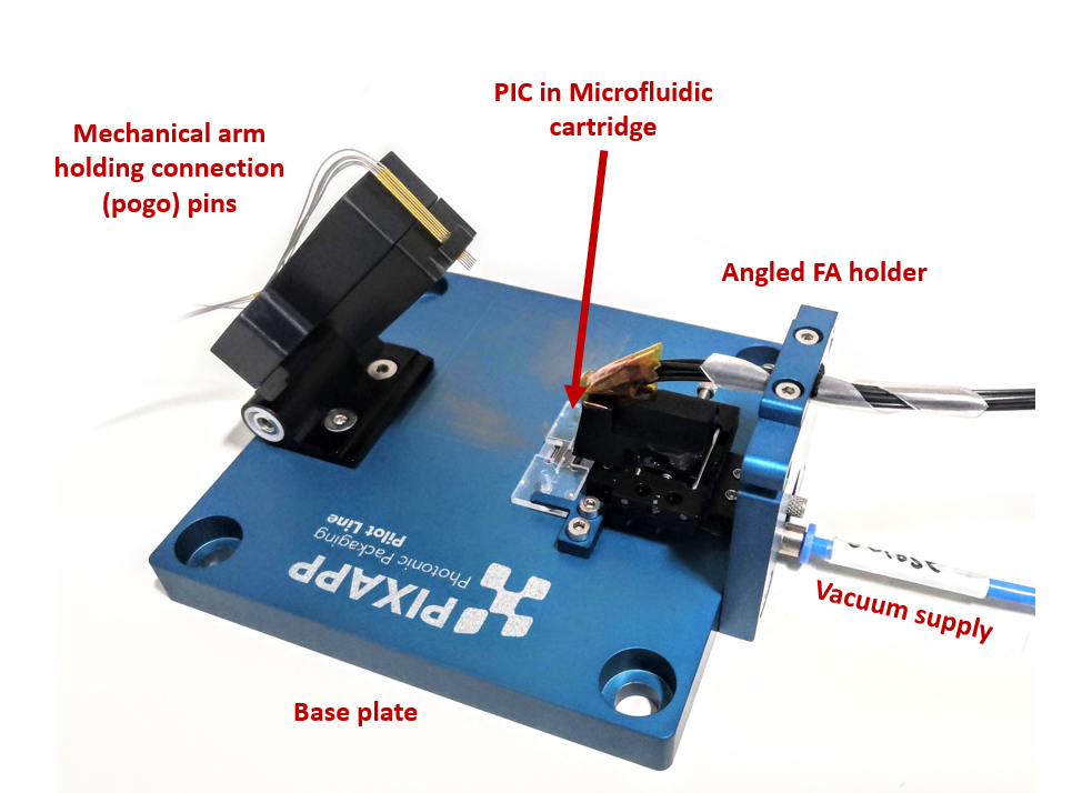 PIXAPP biosensor demonstrator